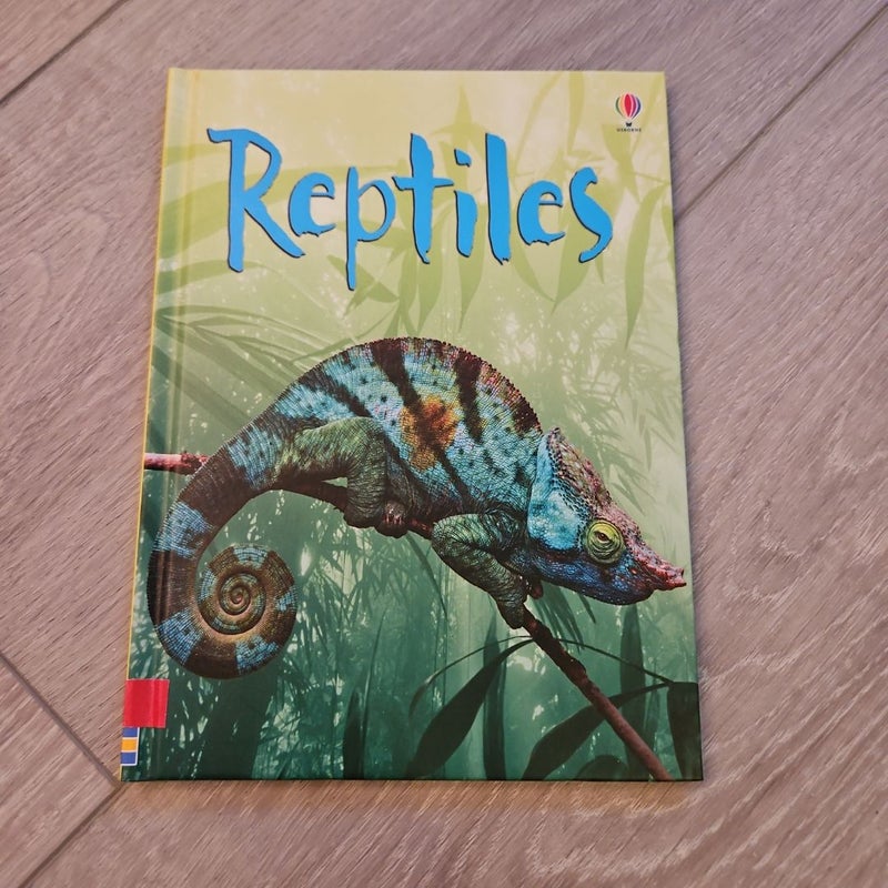 Reptiles