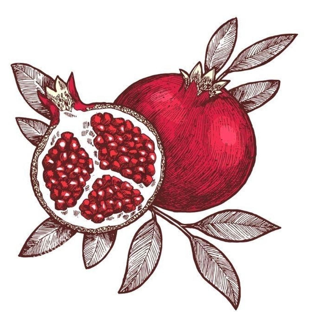 Wineapple Books
