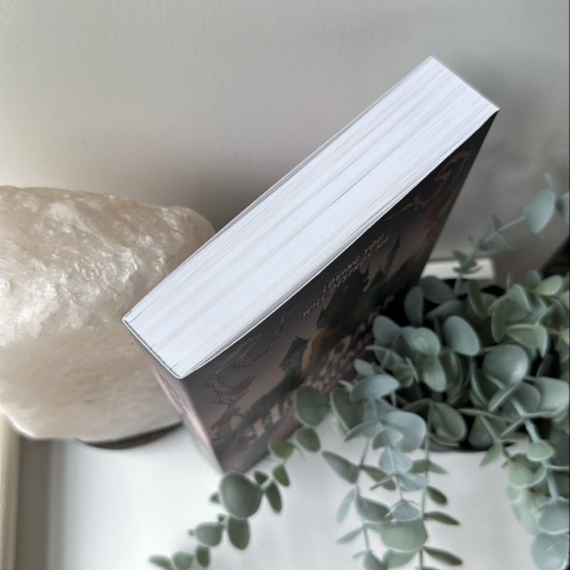 Her Dark Promise *Probably Smut Signed Special Edition*