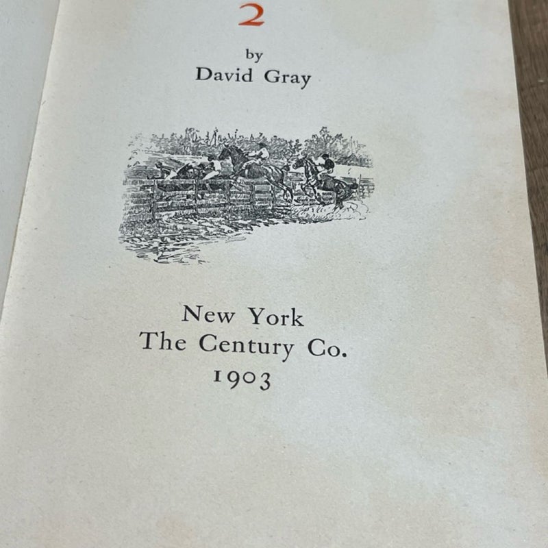 Old Book Gallops 2 by David Gray 1903