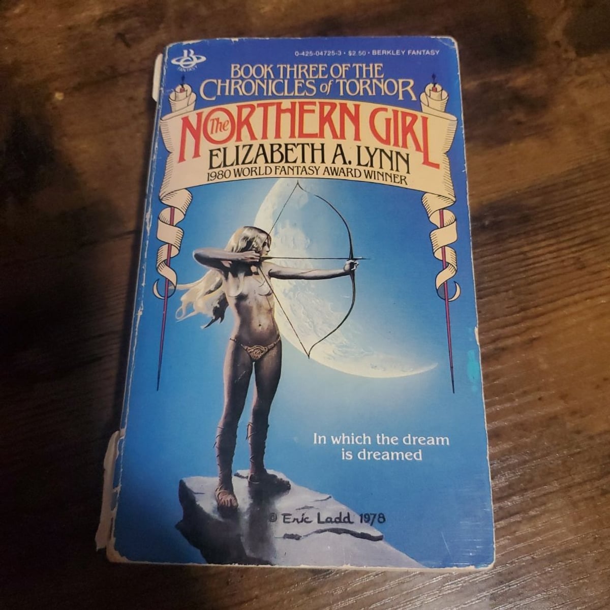 The Northern Girl by Elizabeth A. Lynn, Paperback Pangobooks