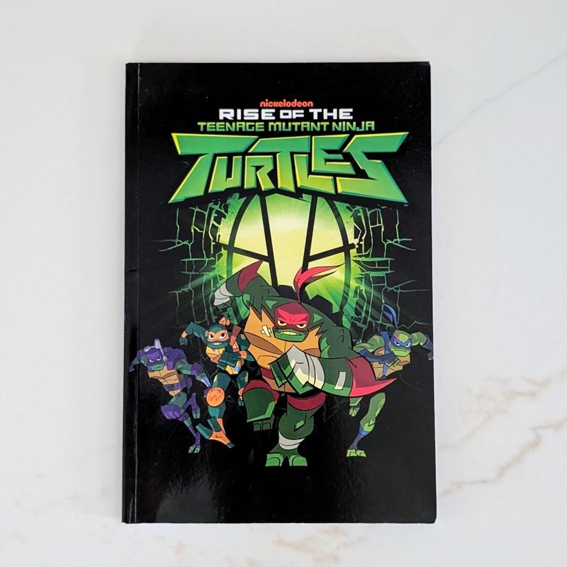 Rise of the Teenage Mutant Ninja Turtles