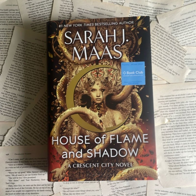 House of Flame and Shadow 