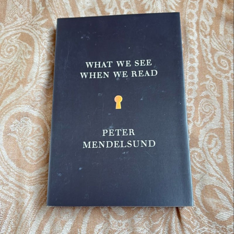 What We See When We Read