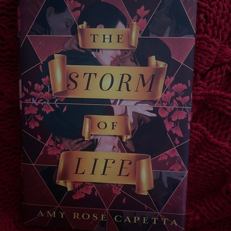 The Storm Of Life