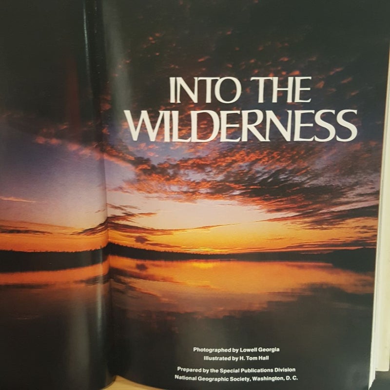 Into the Wilderness