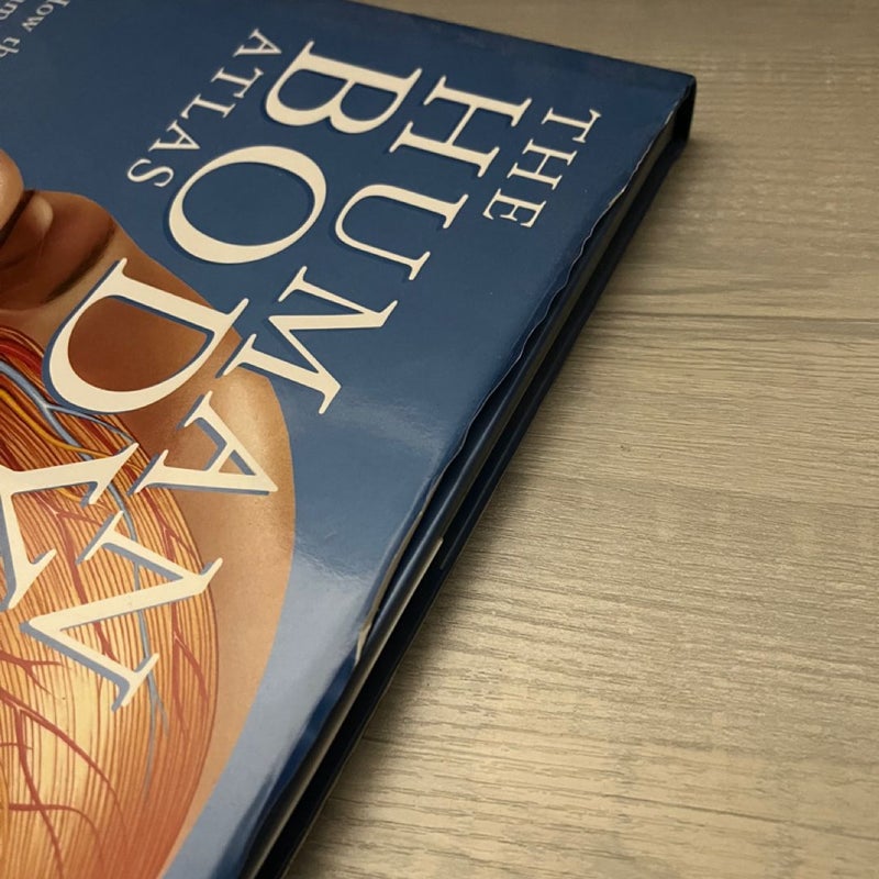 The Human Body Atlas by Global Book Publishing, Hardcover
