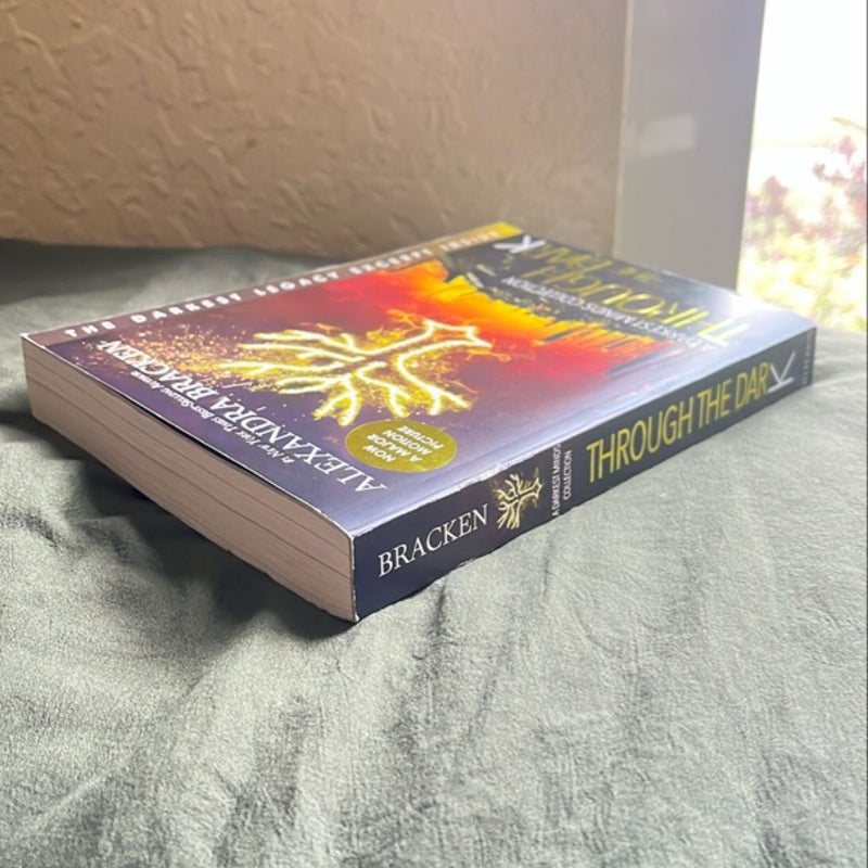 Through the Dark (Bonus Content) (a Darkest Minds Collection)