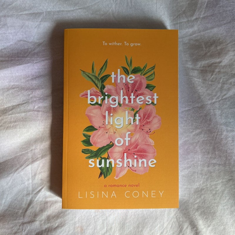 The Brightest Light of Sunshine (OUT OF PRINT INDIE)