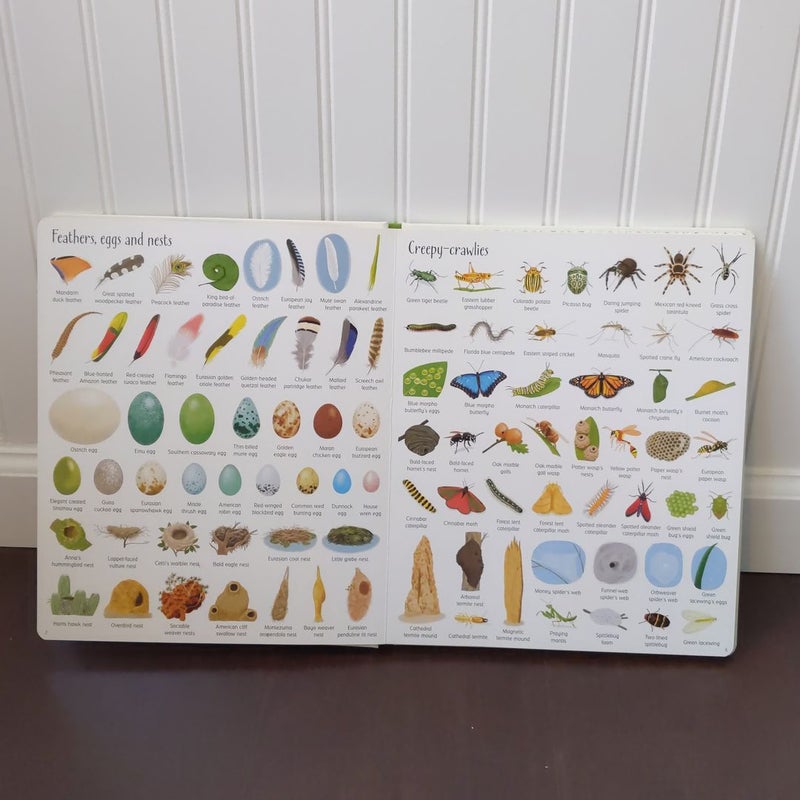 Usborne 1,000 Things in Nature