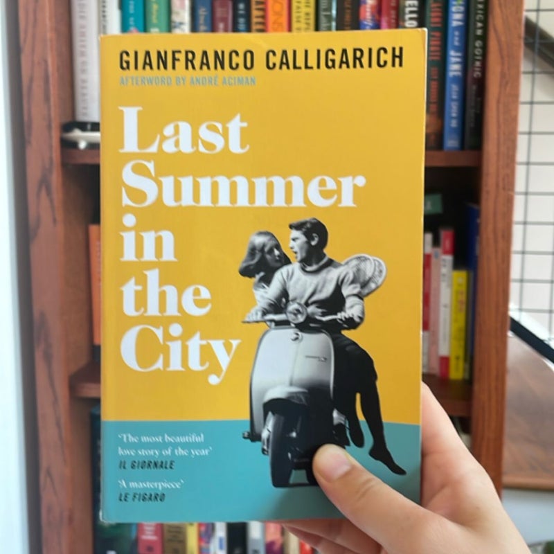 Last Summer in the City