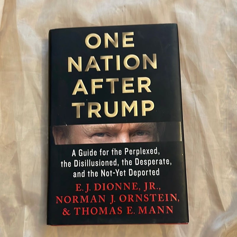 One Nation after Trump