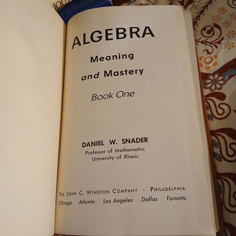 Algebra meaning and mastery