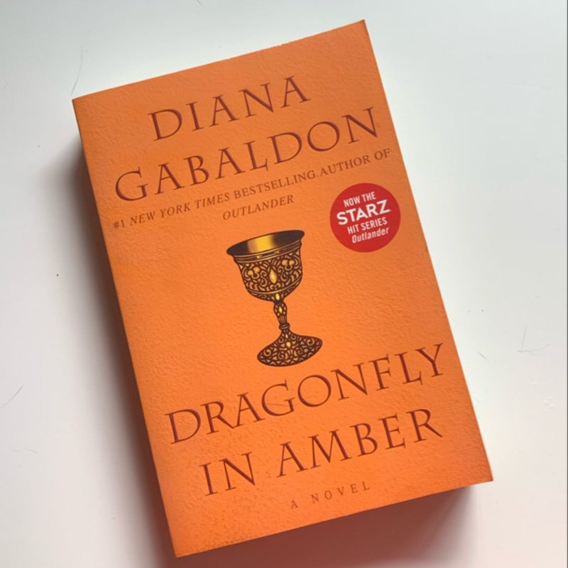 Dragonfly in Amber