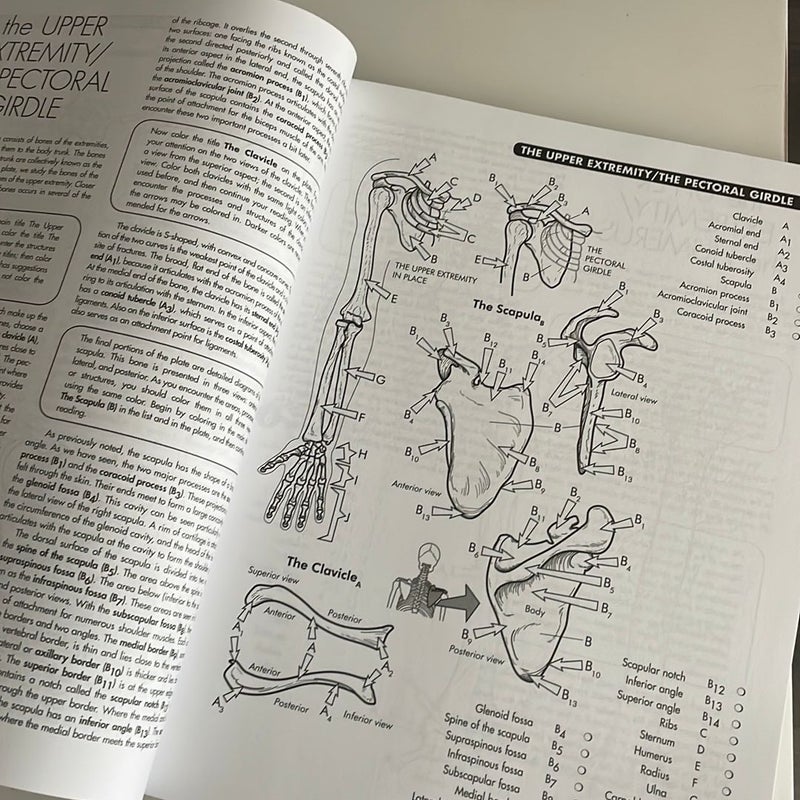 Anatomy Coloring Workbook, 4th Edition
