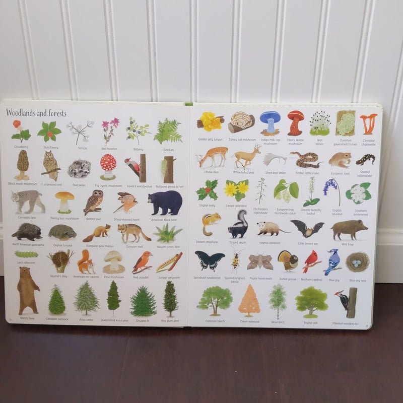 Usborne 1,000 Things in Nature