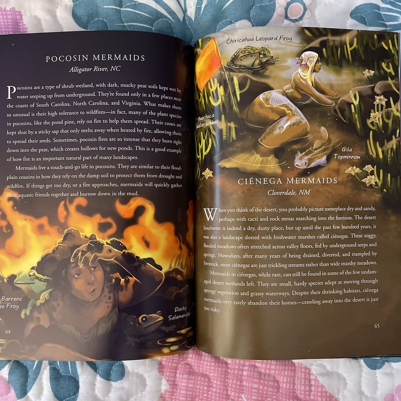 A Field Guide To Mermaids