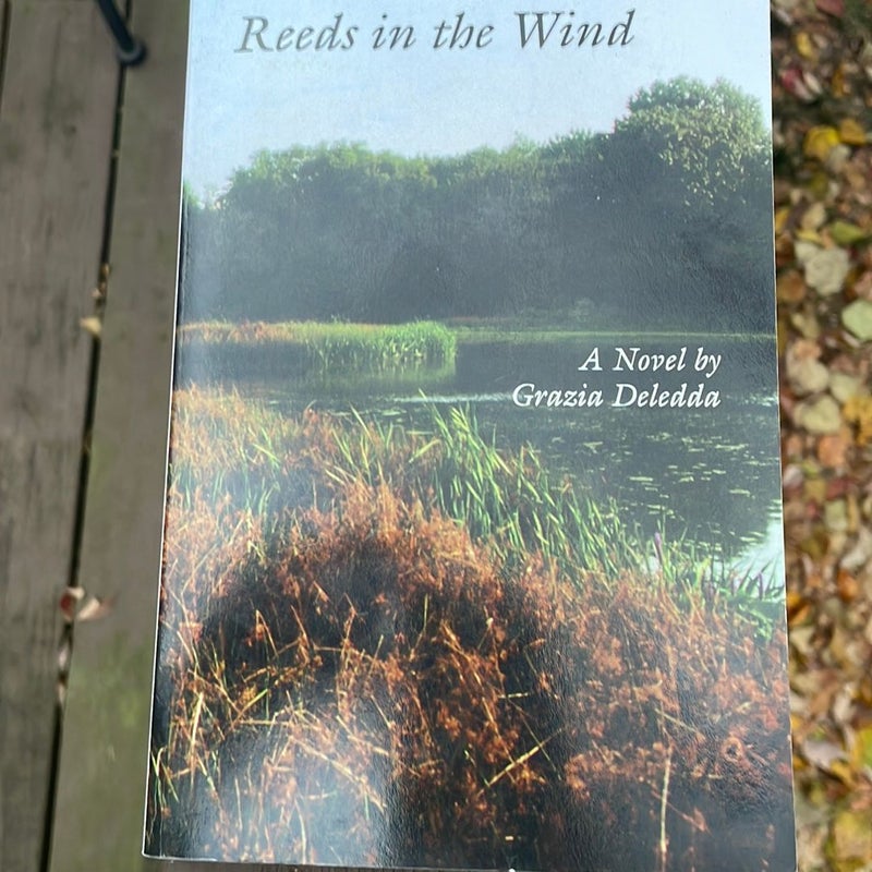 Reeds in the Wind
