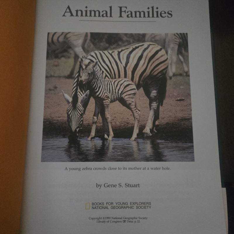 Animal Families