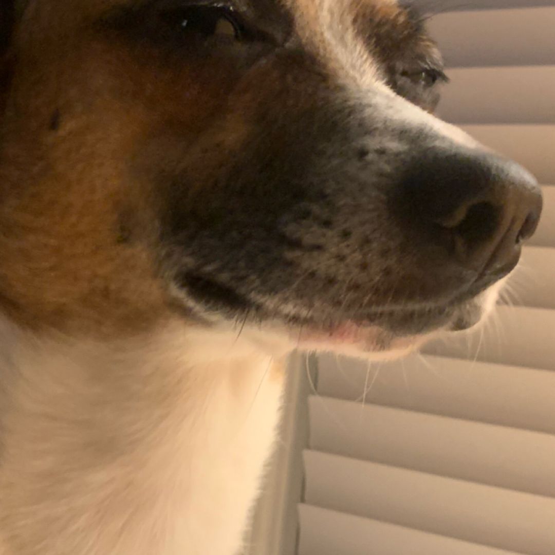 Chance Anderson’s Shop