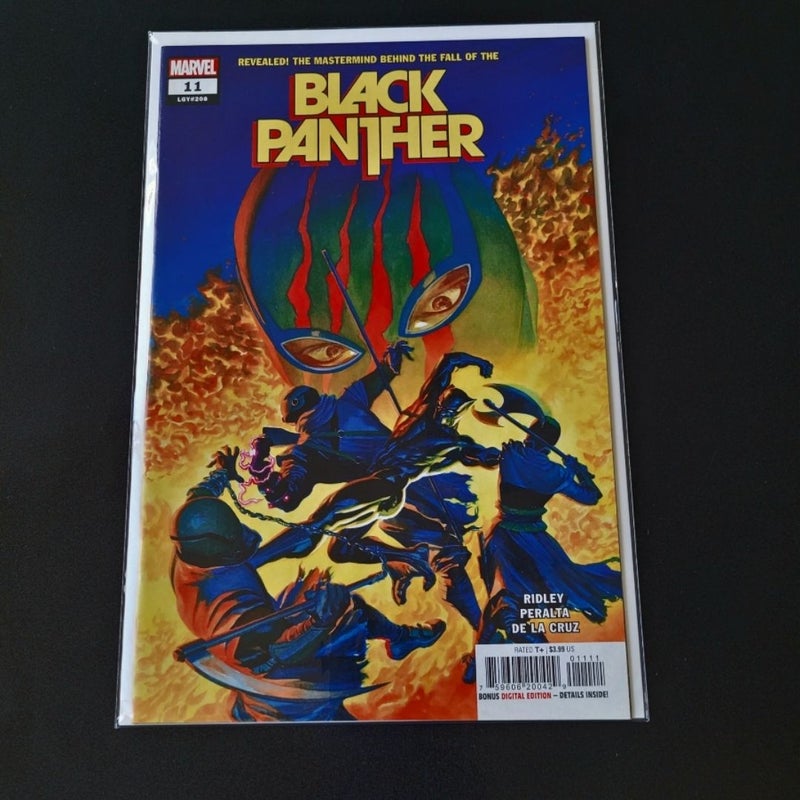 Black Panther #11