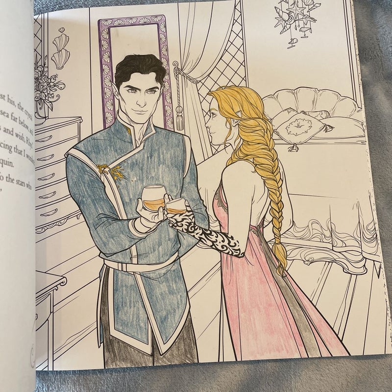 Laurie –Read Between The Skylines– (Nîmes, France)'s review of A Court of  Thorns and Roses Coloring Book