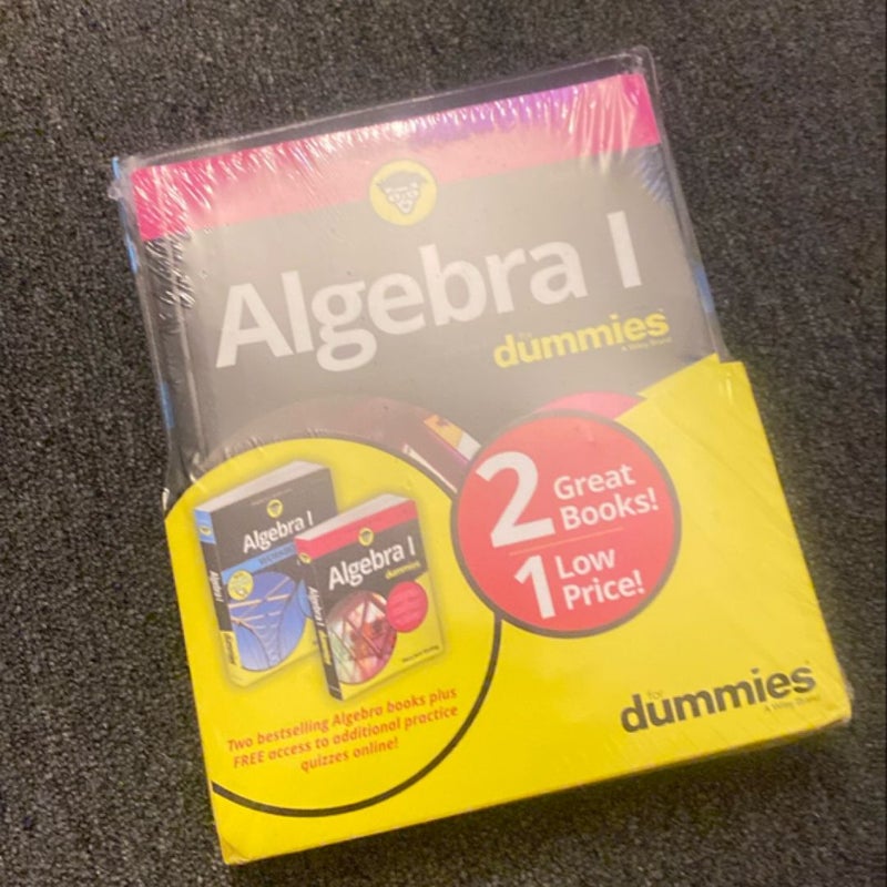 Algebra I for Dummies Book + Workbook Bundle