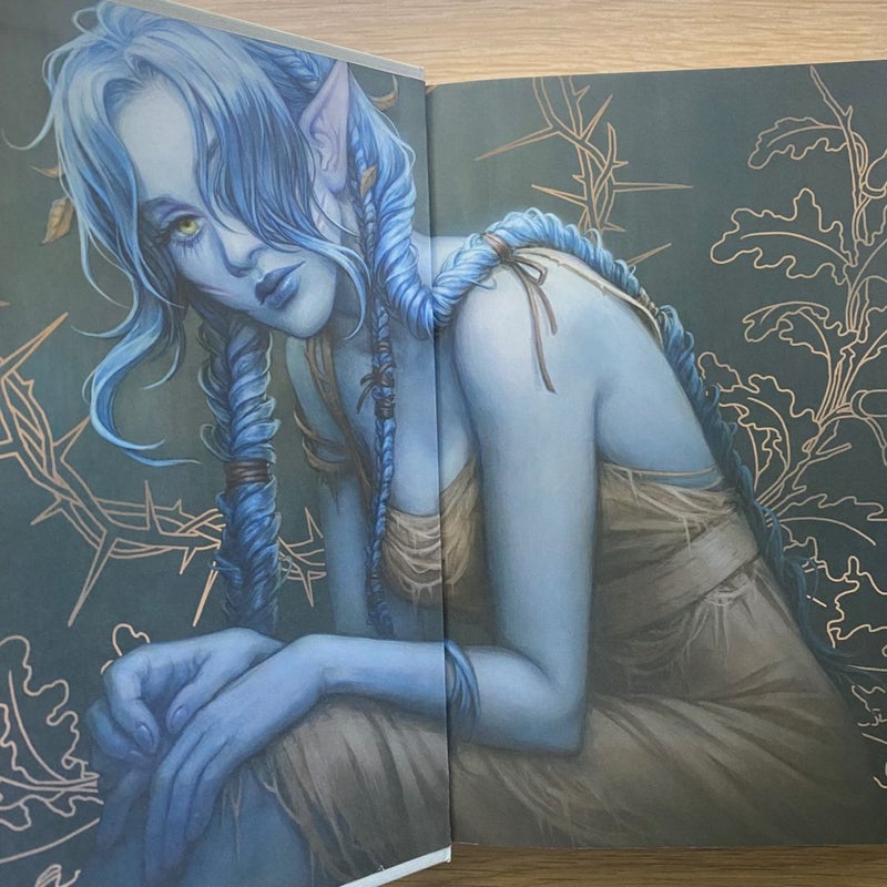 The Stolen Heir (Fairyloot edition)