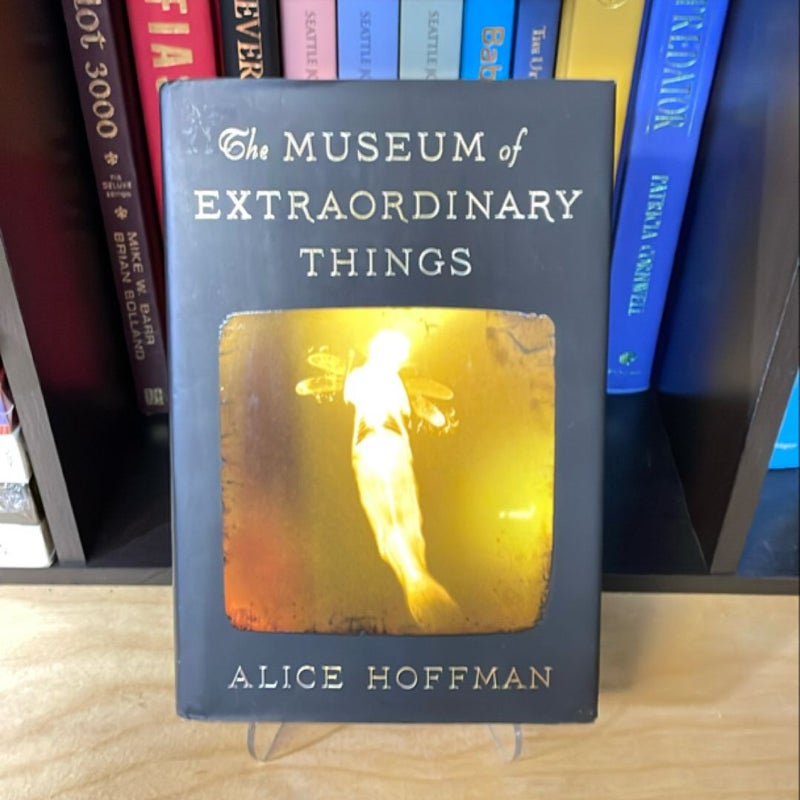 The Museum of Extraordinary Things