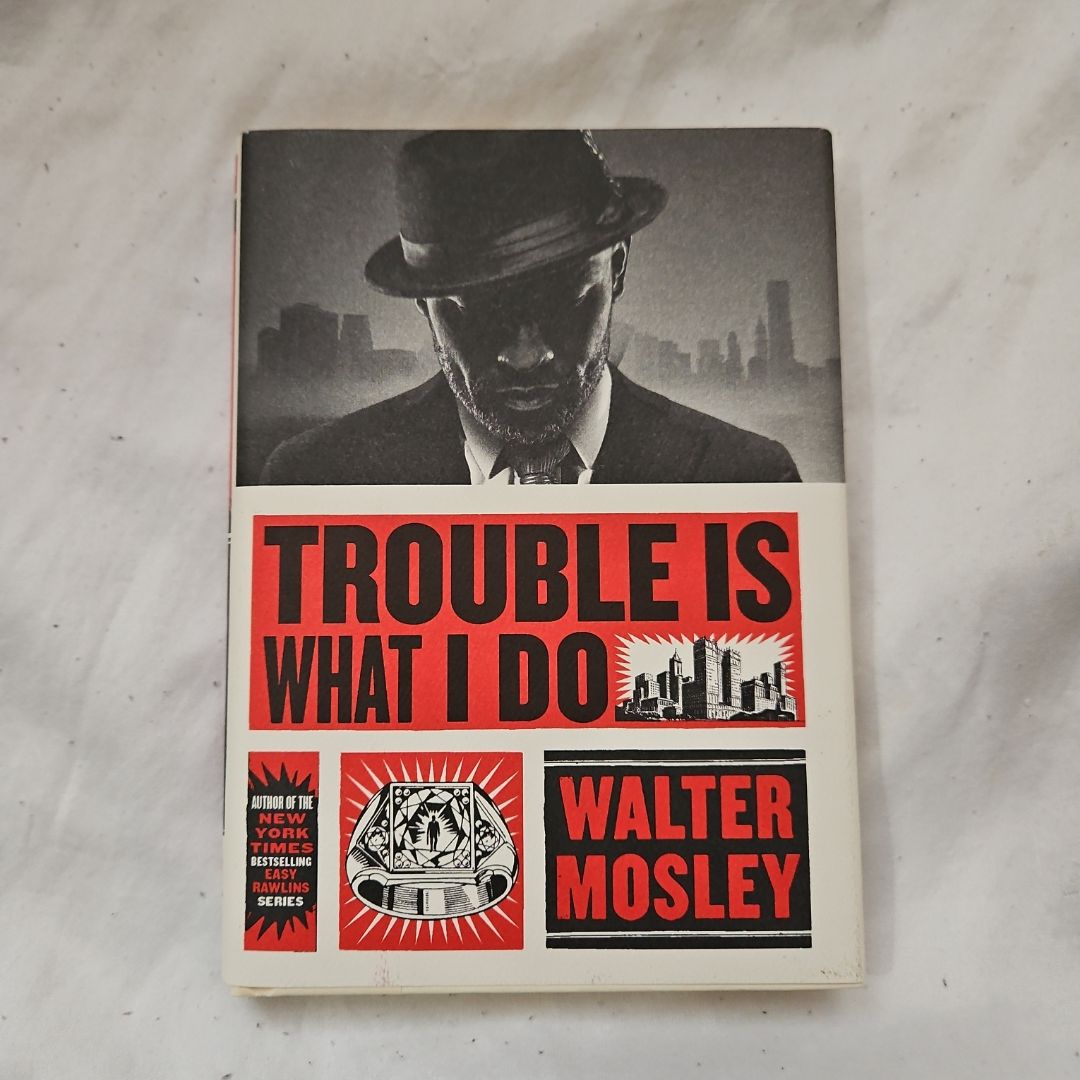 Trouble Is What I Do