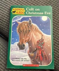 Colt on Christmas Eve
