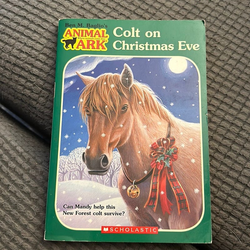 Animal Ark: Colt on Christmas Eve