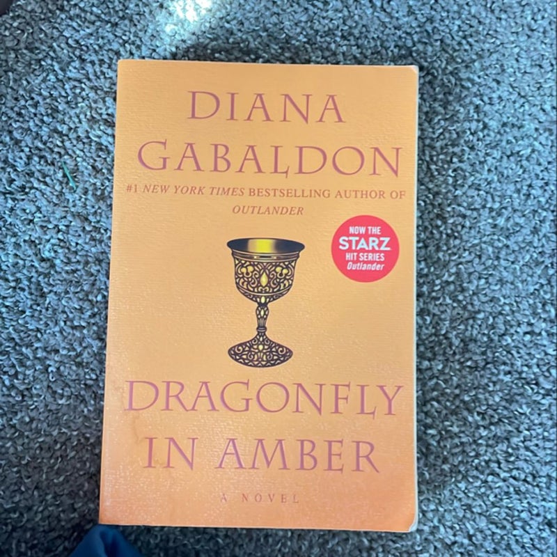 Dragonfly in Amber