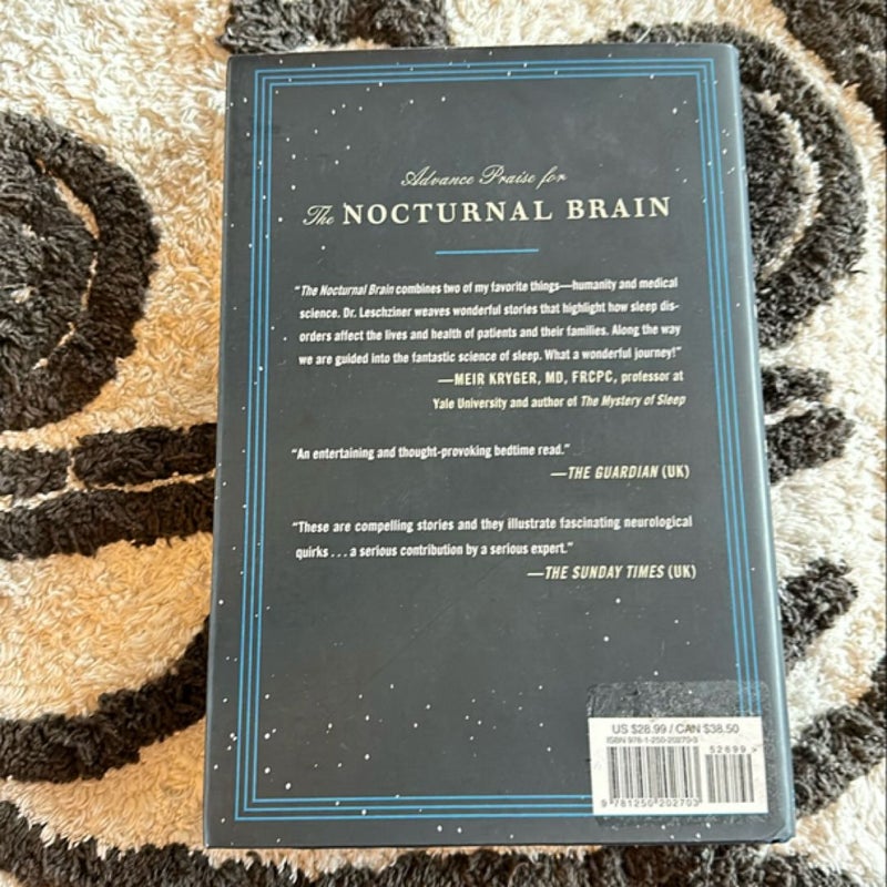 The Nocturnal Brain