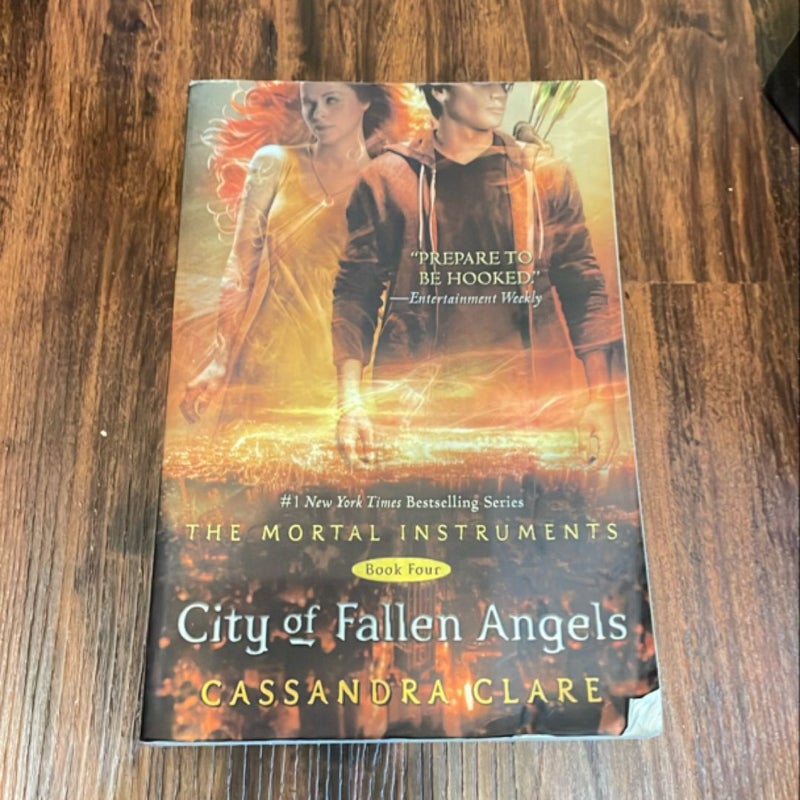 City of Fallen Angels