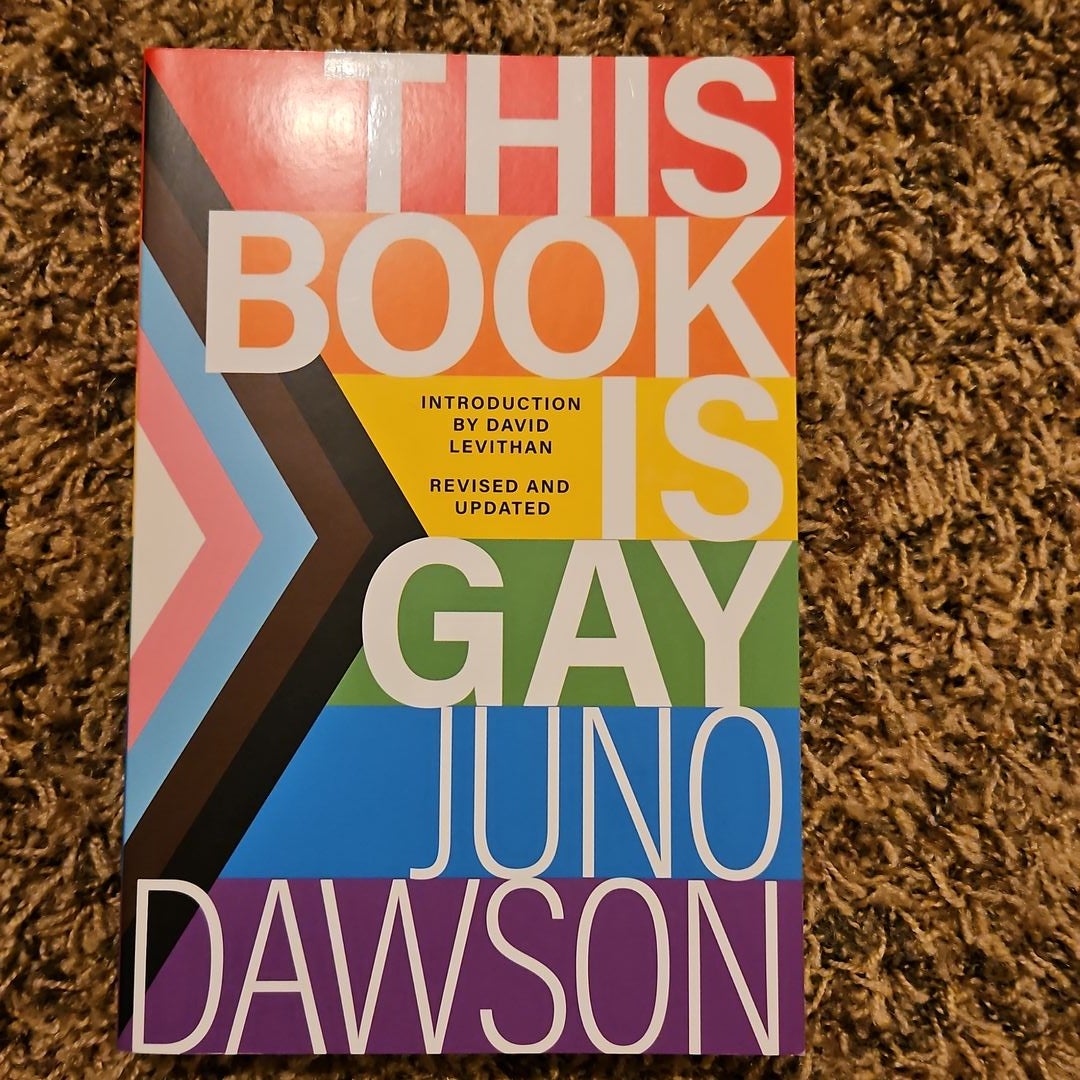 This Book Is Gay