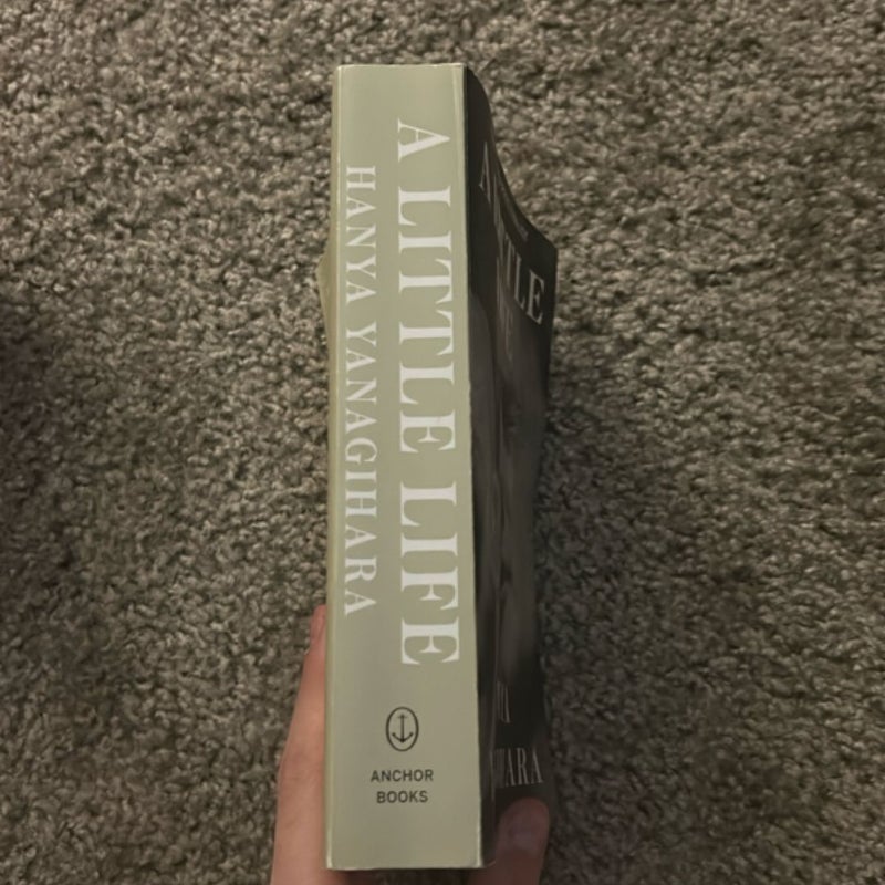 A Little Life