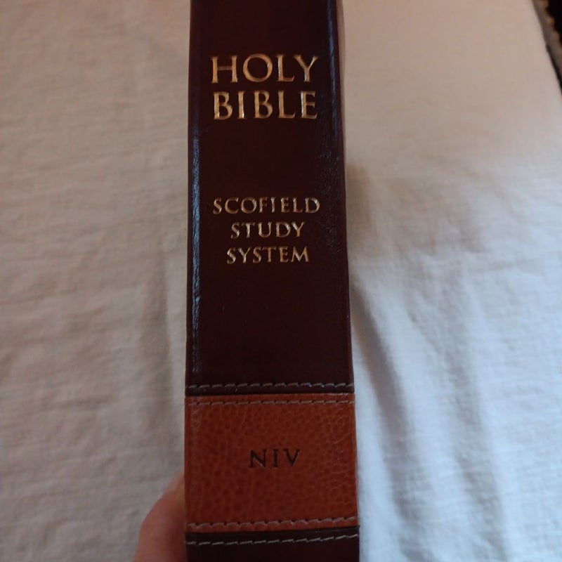 Holy Bible