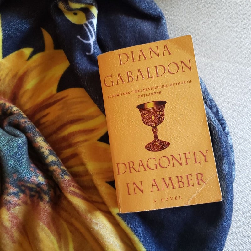 Dragonfly in Amber