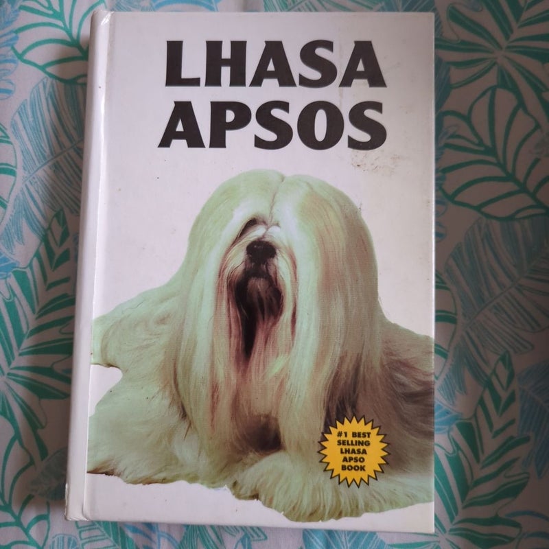 Lhasa Apsos