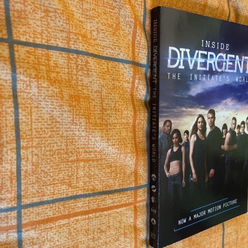Inside Divergent: the Initiate's World