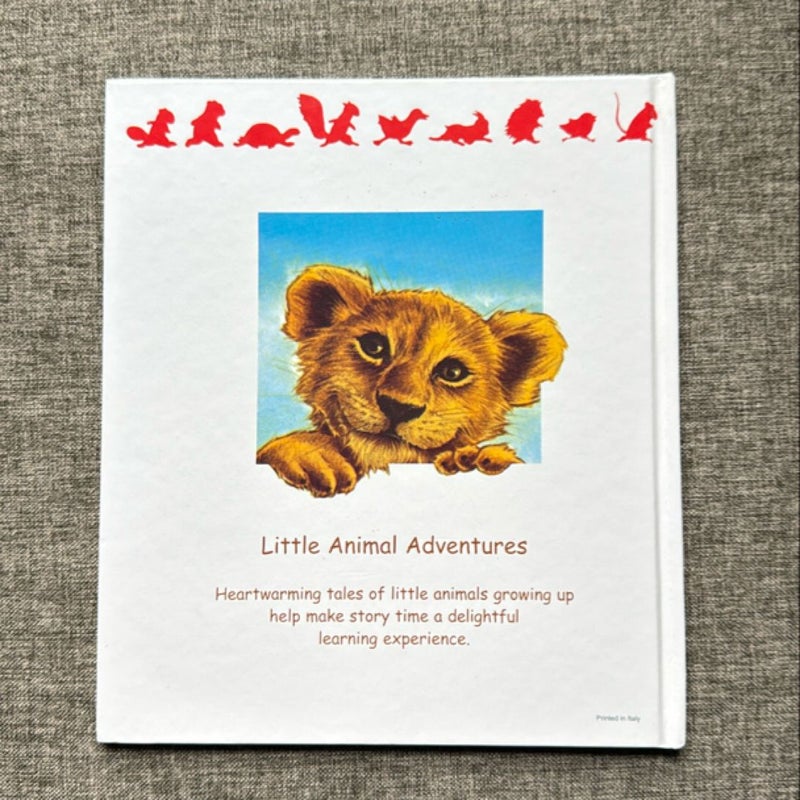 Gentle Little Lion