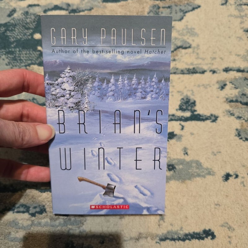 Brian's Winter