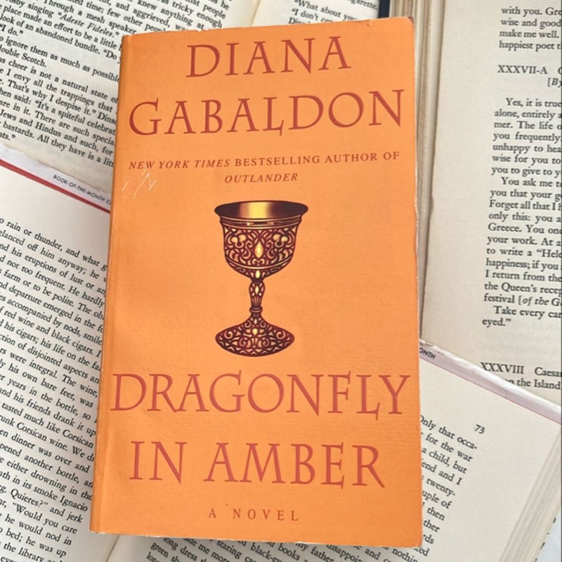 Dragonfly In Amber