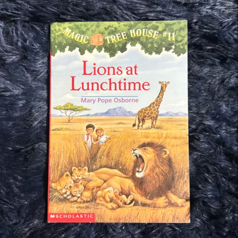 Lions at Lunchtime