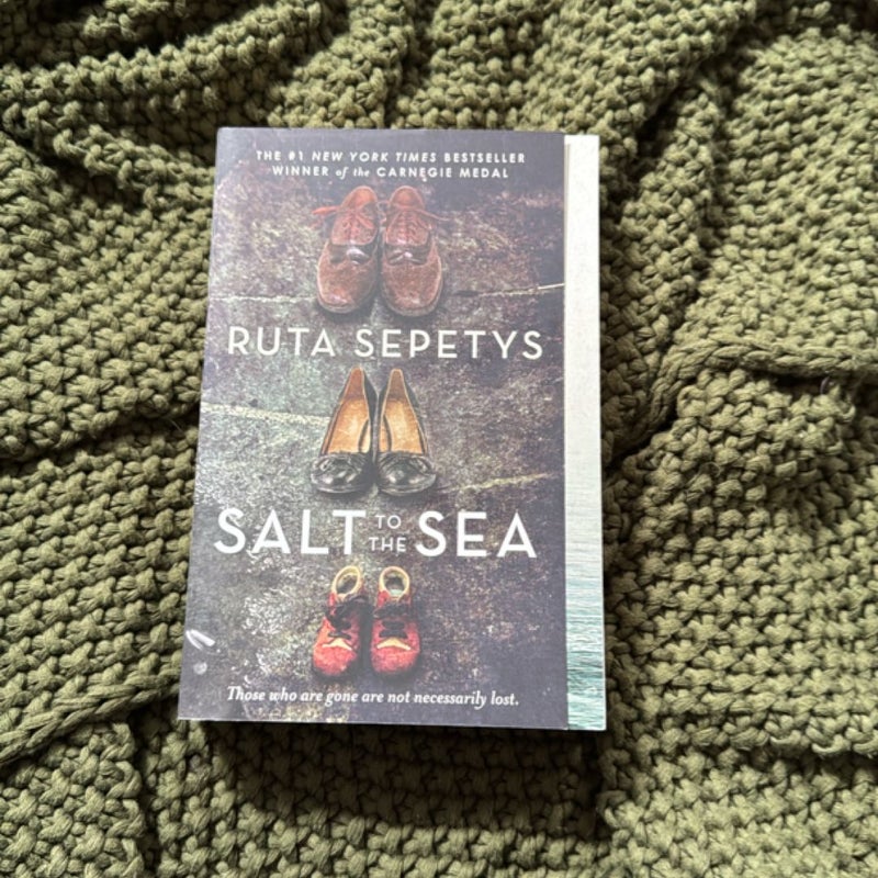 Salt to the Sea