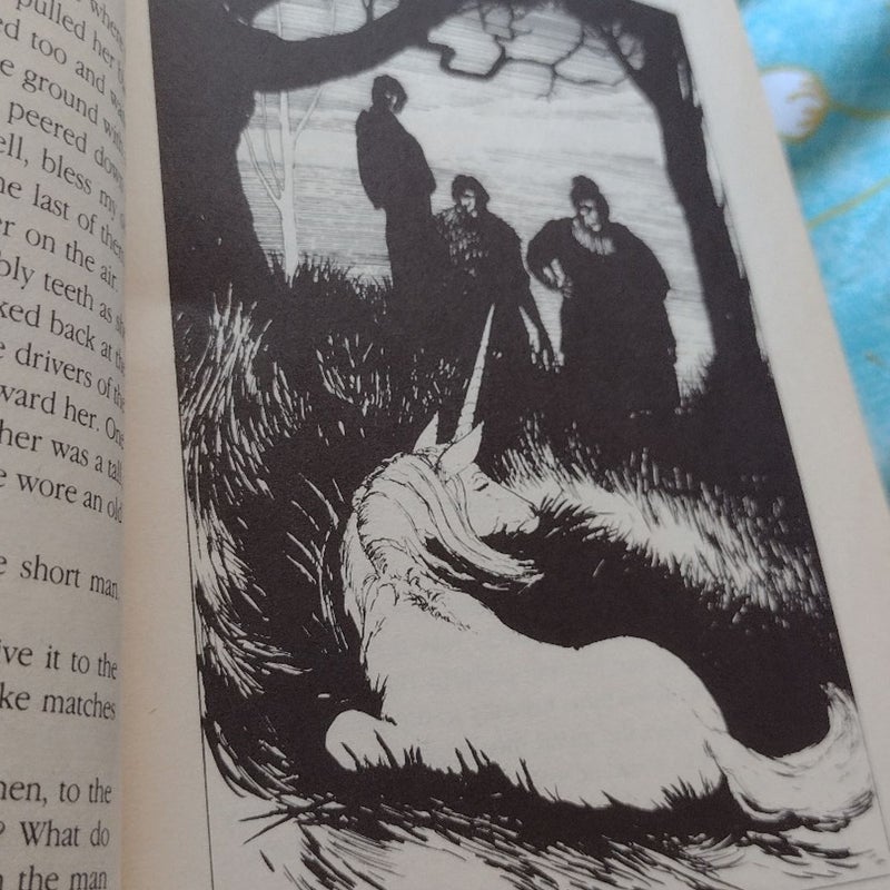 The Last Unicorn
