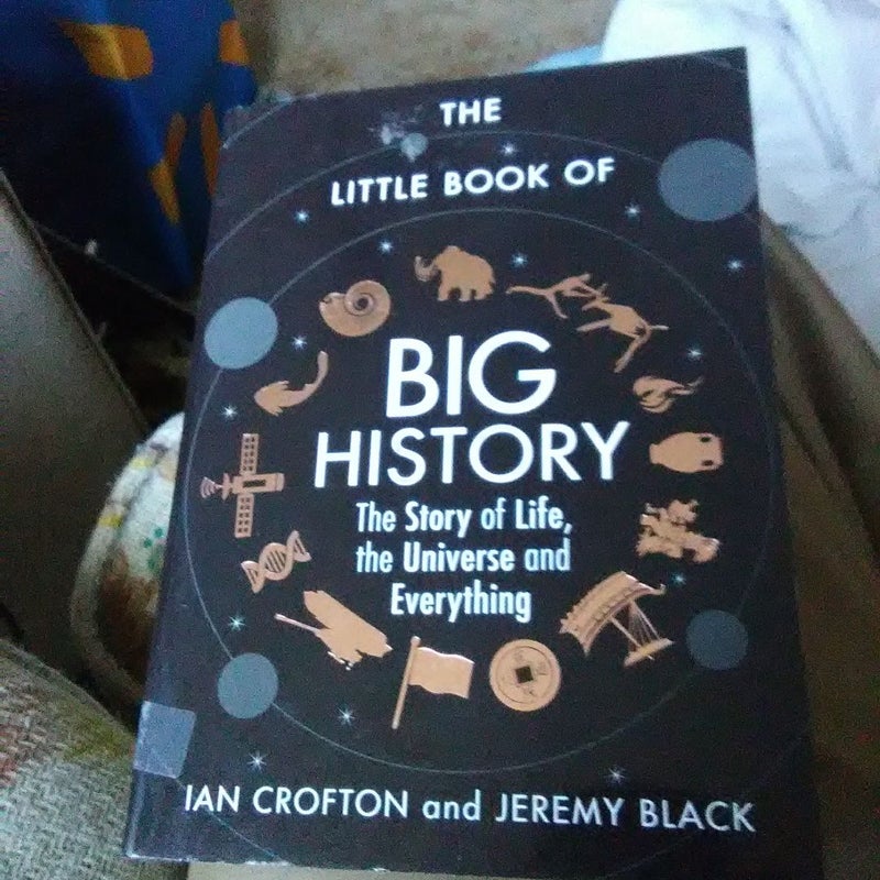 The Little Book of Big History