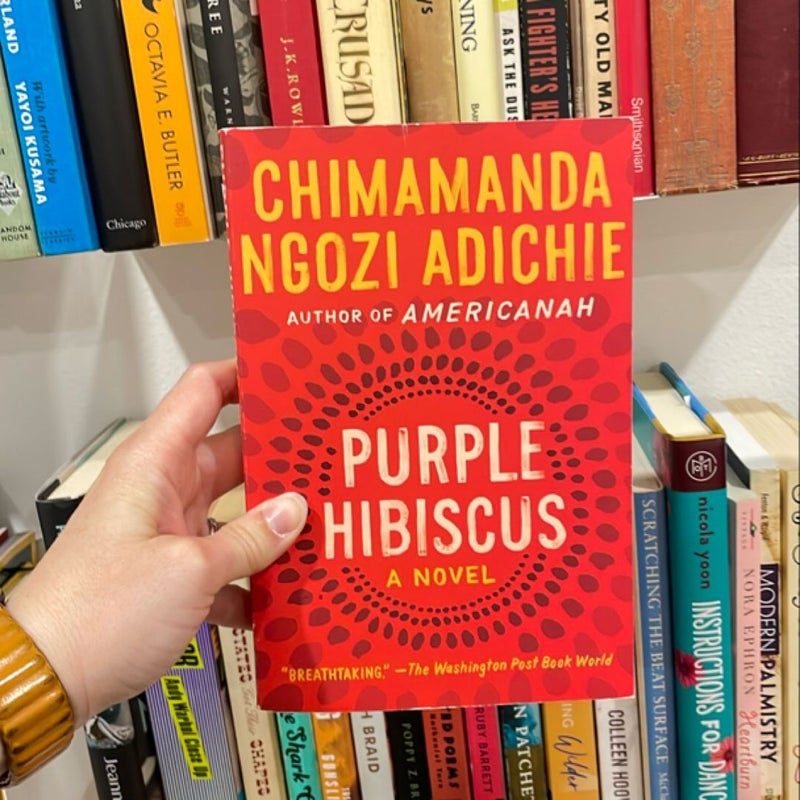 Purple Hibiscus