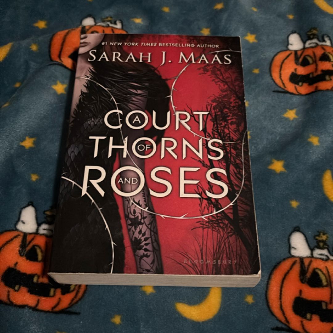 Sale image for c5f54197-7da0-47a0-98b1-39d6d34eee0d-rMSThXmzyBQa23NUe13hJglabY93